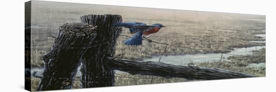 April Showers - Eastern Bluebird-Wilhelm Goebel-Premier Image Canvas