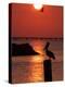 APTOPIX Pontchartrain Sunset-Ann Heisenfelt-Premier Image Canvas