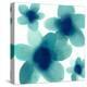 Aqua Blooms II-Hannah Carlson-Stretched Canvas