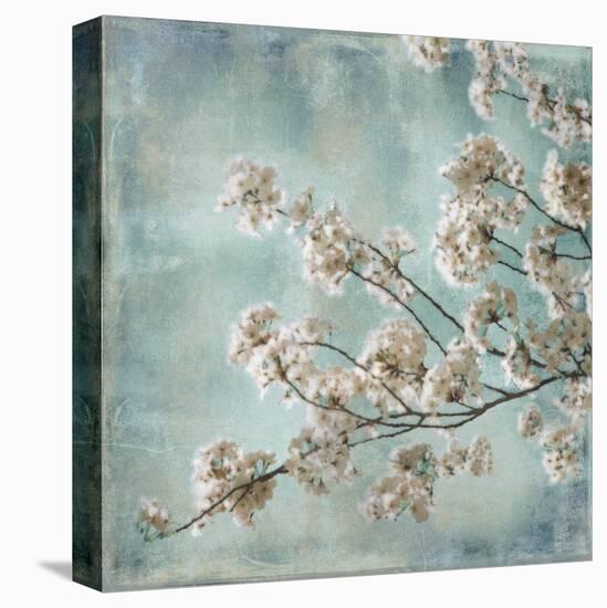 Aqua Blossoms I-John Seba-Stretched Canvas