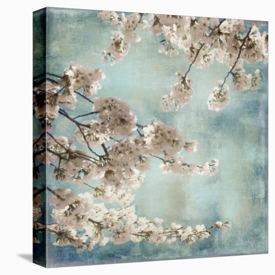 Aqua Blossoms II-John Seba-Stretched Canvas