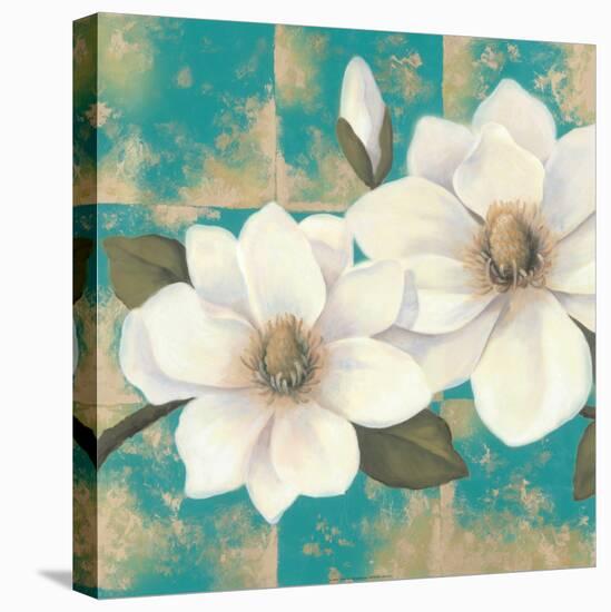 Aqua Floral II-Tc Chiu-Stretched Canvas