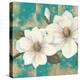 Aqua Floral II-Tc Chiu-Stretched Canvas