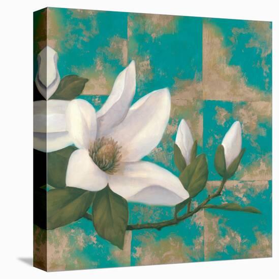 Aqua Floral II-TC Chiu-Stretched Canvas