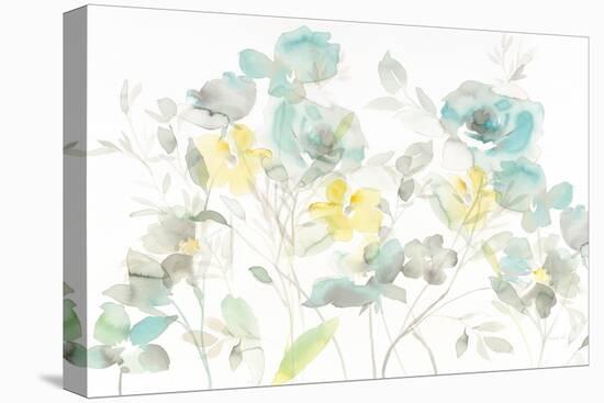 Aqua Roses Shadows-Danhui Nai-Stretched Canvas