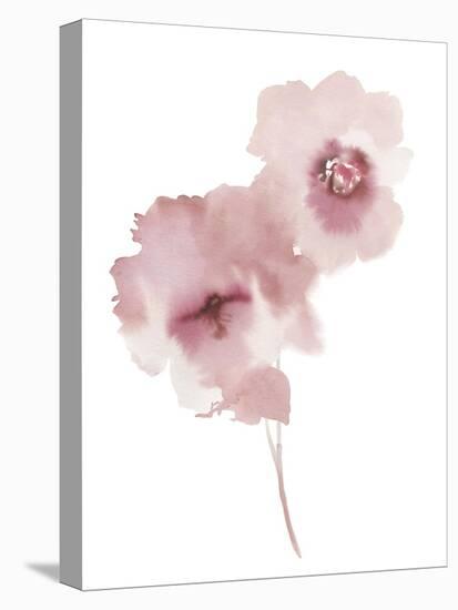 Aquarelle Blooms - Duo-Sandra Jacobs-Stretched Canvas