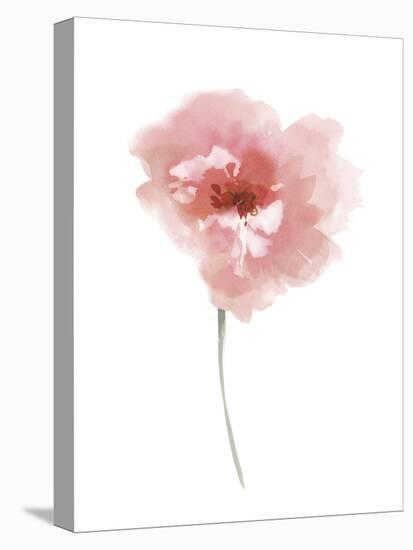 Aquarelle Blooms - Joy-Sandra Jacobs-Stretched Canvas