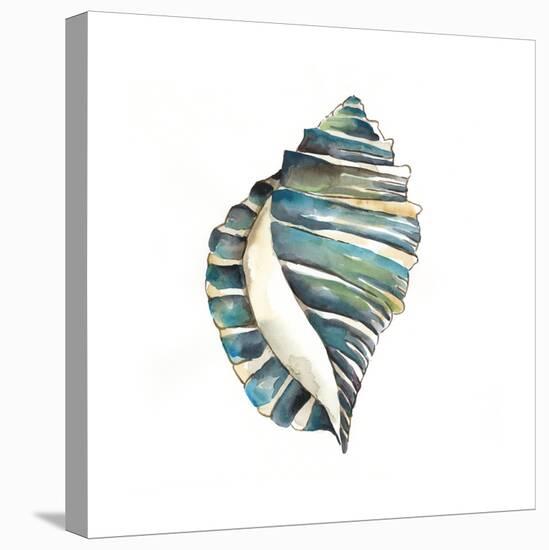 Aquarelle Shells I-Chariklia Zarris-Stretched Canvas