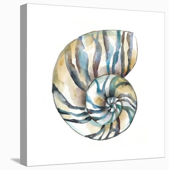 Aquarelle Shells II-Chariklia Zarris-Stretched Canvas