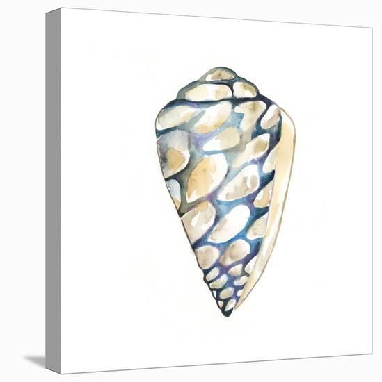 Aquarelle Shells III-Chariklia Zarris-Stretched Canvas