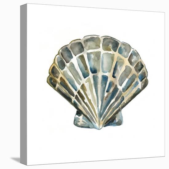 Aquarelle Shells IV-Chariklia Zarris-Stretched Canvas