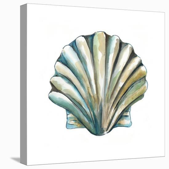 Aquarelle Shells VI-Chariklia Zarris-Stretched Canvas
