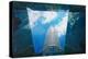 Aquarium-Philippe Sainte-Laudy-Premier Image Canvas