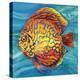 Aquatic Life II (Vibrant Sea Life IV)-Patricia Pinto-Stretched Canvas