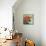 Aquatic Poppies II-Jennifer Goldberger-Stretched Canvas displayed on a wall