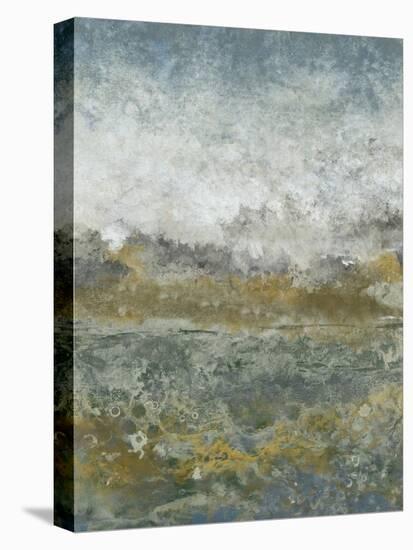 Aquatic Range I-Tim OToole-Stretched Canvas