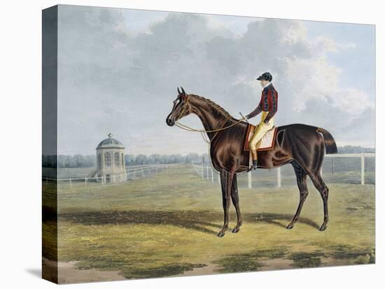Aquatint by Thomas Sutherland After St. Patrick, Winner 1820-John Frederick Herring I-Premier Image Canvas