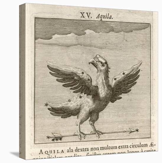 Aquila the Eagle-Gaius Julius Hyginus-Stretched Canvas