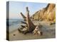 Aquinnah, Gay Head, Martha's Vineyard, Massachusetts, USA-Walter Bibikow-Premier Image Canvas