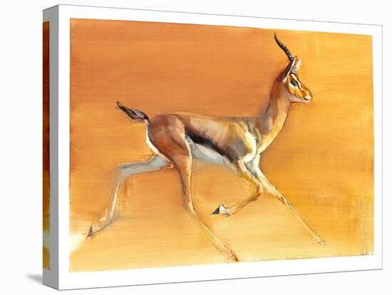 Arabian Gazelle, 2010-Mark Adlington-Premier Image Canvas