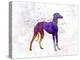 Arabian Greyhound in Watercolor-paulrommer-Stretched Canvas