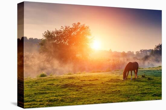 Arabian Horses Grazing on Pasture at Sundown in Orange Sunny Beams. Dramatic Foggy Scene. Carpathia-Leonid Tit-Premier Image Canvas