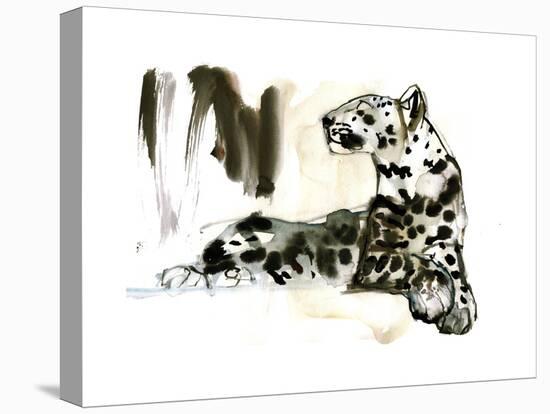 Arabian Leopard, 2008-Mark Adlington-Premier Image Canvas