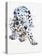 Arabian Leopard, 2008-Mark Adlington-Premier Image Canvas