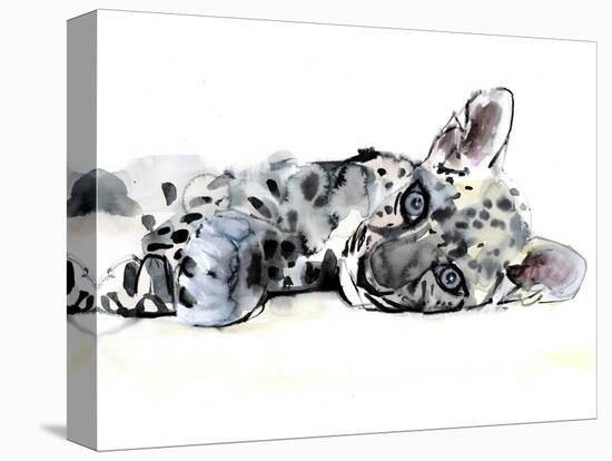 Arabian Leopard Cub, 2008-Mark Adlington-Premier Image Canvas