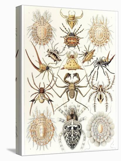 Arachnid Organisms, Artwork-null-Premier Image Canvas