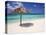 Arashi Beach, Aruba, West Indies, Dutch Caribbean, Central America-Sergio Pitamitz-Premier Image Canvas