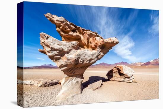 Arbol De Piedra in Bolivia-jkraft5-Premier Image Canvas