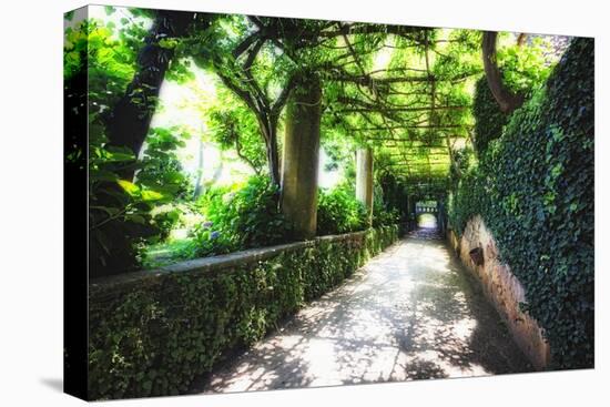 Arbor Path, Ravello, Italy-George Oze-Premier Image Canvas