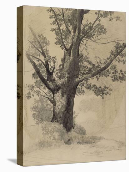 Arbre-Odilon Redon-Premier Image Canvas