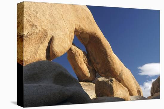 Arch Rock, Arch Rock Trail, Joshua Tree National Park, California, USA-Michel Hersen-Premier Image Canvas