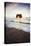 Arch Star and Beach Scene, Mendocino Coast, Northern California-Vincent James-Premier Image Canvas