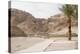 Archaelogical Site of Qumran-null-Premier Image Canvas