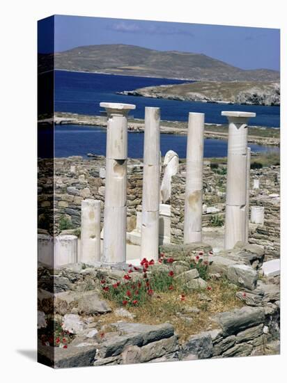 Archaeological Site, Delos, Unesco World Heritage Site, Greece-Adam Woolfitt-Premier Image Canvas