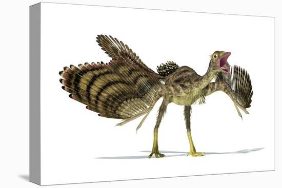 Archaeopteryx Dinosaur, Artwork-null-Premier Image Canvas