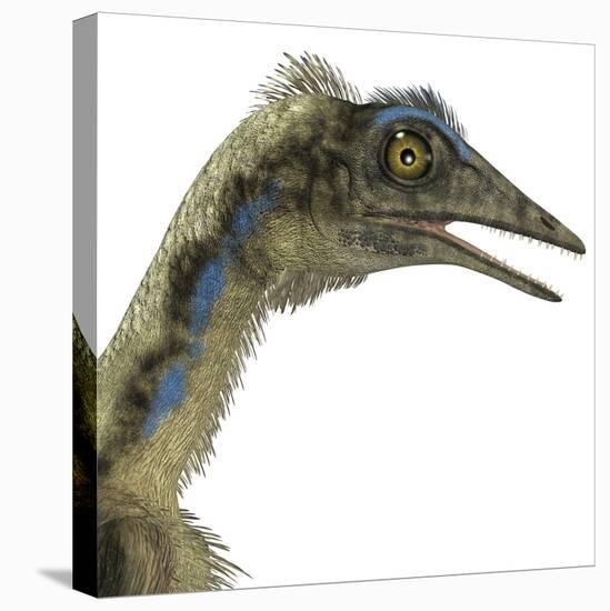 Archaeopteryx Is a Carnivorous Bird That Lived During the Jurassic Period-Stocktrek Images-Stretched Canvas