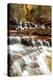 Archangel Falls Lies Near the Subway in Zion National Park, Utah-Clint Losee-Premier Image Canvas