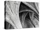 Arches Mono-Doug Chinnery-Premier Image Canvas