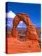 Arches National Park III-Ike Leahy-Premier Image Canvas