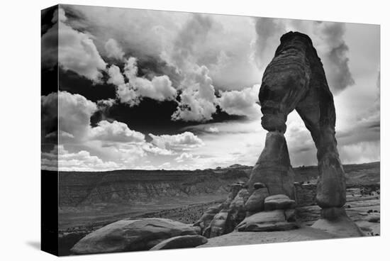 Arches National Park, Utah-null-Stretched Canvas