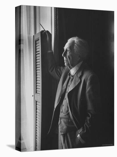 Architect Frank Lloyd Wright-Lisa Larsen-Premier Image Canvas