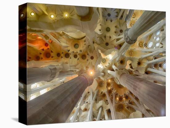 Architectural detail of Sagrada Familia ceiling, Barcelona, Catalonia, Spain-null-Premier Image Canvas