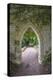 Archway, Abbey of St. Wandrille, Saint-Wandrille-Rancon, Normandy, France-Lisa S. Engelbrecht-Premier Image Canvas