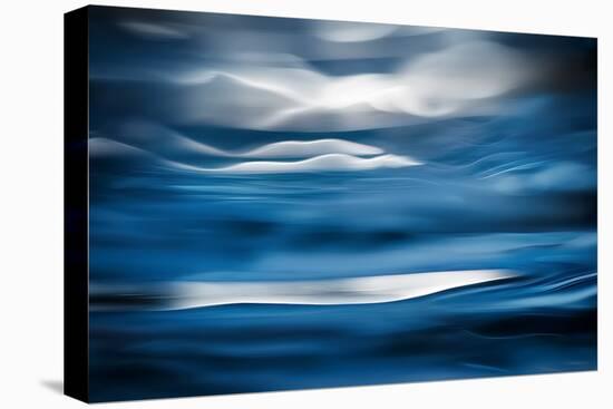 Arctic 2-Ursula Abresch-Premier Image Canvas