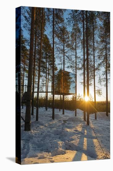 Arctic Circle, Lapland, Scandinavia, Sweden, the Tree Hotel, the Mirror Cube Room-Christian Kober-Premier Image Canvas