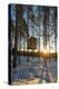 Arctic Circle, Lapland, Scandinavia, Sweden, the Tree Hotel, the Mirror Cube Room-Christian Kober-Premier Image Canvas